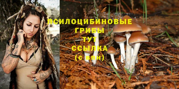 скорость Алексеевка