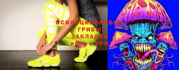 не бодяженный Алзамай