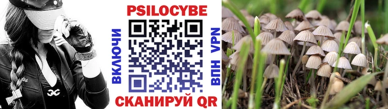 Галлюциногенные грибы ЛСД  Добрянка 